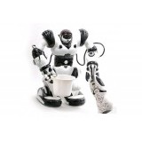 Робот Roboactor Jia Qi - TT313